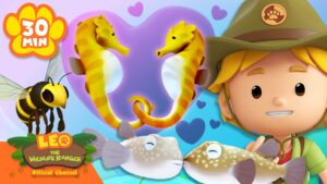 Seahorses Dance and Fall in Love! | Valentine's Day | Leo the Wildlife Ranger | Cartoons for Kids - Kids TV Series, Kingdom Kids Zone - Leo the Wildlife Ranger - Official Channel