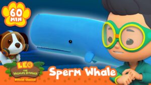Whales in the Deep Blue Sea! 🐳 World Whale Day 🐳 | Leo the Wildlife Ranger | Full Episode - Kids TV Series, Kingdom Kids Zone - Leo the Wildlife Ranger - Official Channel