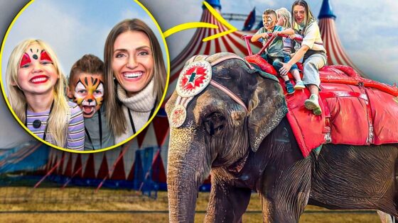 🐘🎪 Riding Elephants Before the Circus?! Educational Pre-Show Experience with the Happy Hubbard’s! - Kingdom Kids Zone, Little Learners - Happy Hubbard’s - Educational Videos for Kids