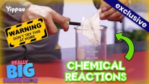 Thumbnail: hand lighting a beaker with a lighter, warning label, and an 'EXCLUSIVE' banner with bold 'CHEMICAL REACTIONS' text.