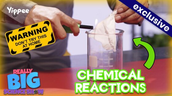 Thumbnail: hand lighting a beaker with a lighter, warning label, and an 'EXCLUSIVE' banner with bold 'CHEMICAL REACTIONS' text.