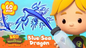 Leo Frees a Blue Dragon into the Sea?! | Leo the Wildlife Ranger | Animal Cartoons for Kids - Kids TV Series, Kingdom Kids Zone - Leo the Wildlife Ranger - Official Channel