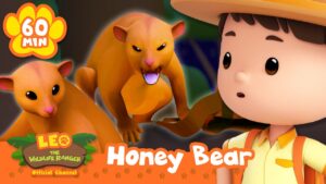 Leo Meets an ANGRY Kinkajou Honey Bear! | Leo the Wildlife Ranger | Kids Learning Cartoons - Kids TV Series, Kingdom Kids Zone - Leo the Wildlife Ranger - Official Channel