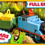 Thomas and the Cheeky Monkeys 🐵 | Watch Out Thomas! - Kids TV Series, Kingdom Kids Zone - Thomas & Friends