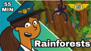 A Pilot’s Jungle Journey ✈️ | Explore the Amazon Rainforest | Kids Travel & Nature Education - Kingdom Kids Zone, Little Learners - Let's Go See