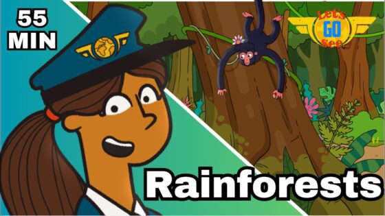 A Pilot’s Jungle Journey ✈️ | Explore the Amazon Rainforest | Kids Travel & Nature Education - Kingdom Kids Zone, Little Learners - Let's Go See