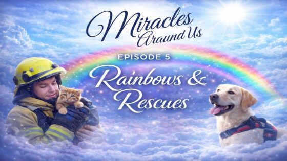 Rainbows & Rescues: Miracles Around Us | Full Faith Docuseries - Movies & TV - Faith Stories and Secrets