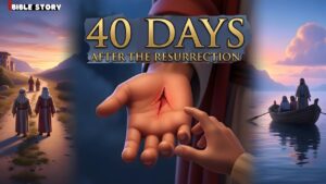 Day 1 to Day 40 After The Resurrection of Jesus | Thomas' Doubt | Peter's Restoration |Ascension - Bible Stories, Kingdom Kids Zone - The Christian Seed