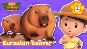 Beavers living in North American Rivers! | Leo the Wildlife Ranger | Educational Animal Cartoons - Kids TV Series, Kingdom Kids Zone - Leo the Wildlife Ranger - Official Channel