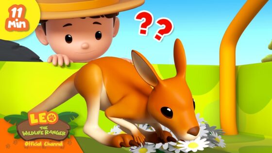 Young cartoon boy with a yellow hat peers over a bright lime fence at an orange kangaroo crouching among daisies, with question marks above.