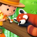 Cartoon boy wildlife ranger reaching toward a sleeping red panda on a jungle branch, with bright green bamboo in the background.