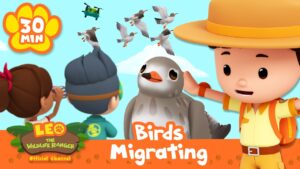 Cartoon scene with kids and a ranger watching migrating birds; a large central bird, blue sky, and an orange banner reading 'Birds Migrating' alongside the 'Leo the Wildlife Ranger' logo.