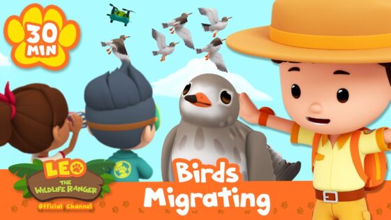 Cartoon scene with kids and a ranger watching migrating birds; a large central bird, blue sky, and an orange banner reading 'Birds Migrating' alongside the 'Leo the Wildlife Ranger' logo.