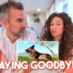 Two adults sit at a bright table, a photo of a dog rests on the surface with bold 'SAYING GOODBYE' text overlay, suggesting a farewell topic for a video.