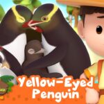 Thumbnail for Leo the Wildlife Ranger: shows two large yellow-eyed penguins with a chick and a boy in a safari outfit; text reads '60 MIN' and 'Yellow-Eyed Penguin'.