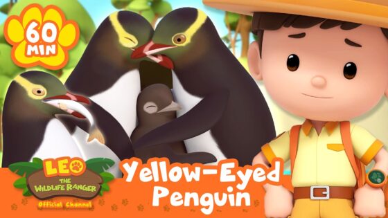 Thumbnail for Leo the Wildlife Ranger: shows two large yellow-eyed penguins with a chick and a boy in a safari outfit; text reads '60 MIN' and 'Yellow-Eyed Penguin'.