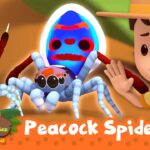 Cartoon boy in a safari outfit greets two blue peacock spiders in an orange, nature backdrop; video thumbnail for Leo the Wildlife Ranger: Peacock Spider (60 Min).