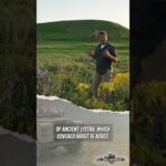 Drive Thru HistoryShared with Public ·Following﻿Drive Thru History · Original audio✉️ - Kids (6+), Kingdom Kids Zone, Shorts - Drive Thru History with Dave Stotts