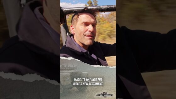 Who Wrote the Book of Hebrews? | Bible Backroads | Drive Thru History - Kids (6-9), Kingdom Kids Zone, Shorts - Drive Thru History with Dave Stotts