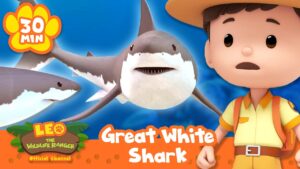 MOST FEARSOME CREATURE OF THE OCEAN, THE GREAT WHITE SHARK! | Leo the Wildlife Ranger | Educational - Kids TV Series, Kingdom Kids Zone - Leo the Wildlife Ranger - Official Channel