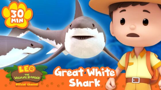 MOST FEARSOME CREATURE OF THE OCEAN, THE GREAT WHITE SHARK! | Leo the Wildlife Ranger | Educational - Kids TV Series, Kingdom Kids Zone - Leo the Wildlife Ranger - Official Channel