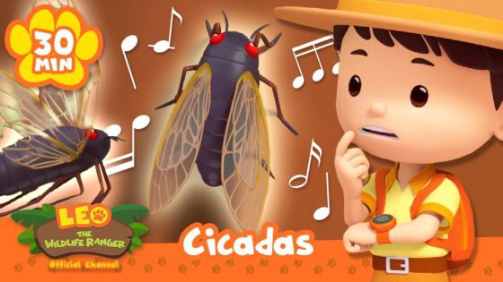 Meet Nature's Greatest Musician, the Cicada! | Leo the Wildlife Ranger | Learning Animal Cartoons - Kids TV Series, Kingdom Kids Zone - Leo the Wildlife Ranger - Official Channel
