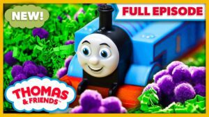 Thomas and the Blackberries | Watch Out Thomas | FULL EPISODE - Kids TV Series, Kingdom Kids Zone - Thomas & Friends
