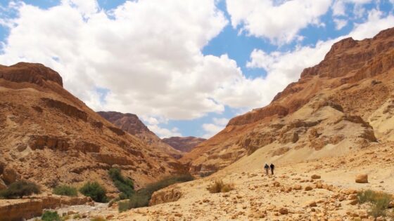 Experience the Bible Lands | Peaceful Cinematic Ambience - Documentaries, Movies & TV - Appian Media