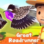 Thumbnail shows a boy in a yellow shirt and hat with an orange backpack watching two roadrunner birds; orange banner reads Great Roadrunner and 30 MIN.