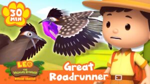 Thumbnail shows a boy in a yellow shirt and hat with an orange backpack watching two roadrunner birds; orange banner reads Great Roadrunner and 30 MIN.