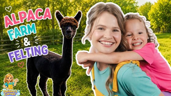 Silly Miss Lily Visits an Alpaca Farm 🦙 | Learn About Alpacas & Fun Felting Craft | Videos for Kids - Kingdom Kids Zone, Little Learners, Shows - Paisley's Corner - Educational Videos for Kids