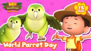 It's World Parrot Day! Celebrate with the Kakapo Parrot! Leo the Wildlife Ranger | Learning Cartoons - Kids TV Series, Kingdom Kids Zone - Leo the Wildlife Ranger - Official Channel