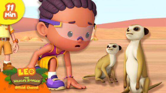 FINDING MEERKATS IN THE WILD! | Leo the Wildlife Ranger | Educational Animal Cartoons - Kids TV Series, Kingdom Kids Zone - Leo the Wildlife Ranger - Official Channel