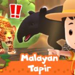 Cartoon safari boy points at a Malayan tapir and jungle animals in a kids' video thumbnail, with a 60 MIN label and leopard nearby.
