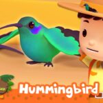 CAN YOU SPOT THIS BIRD WITH SUPER SPEED? | Leo the Wildlife Ranger | Learning Animal Cartoons - Kids TV Series, Kingdom Kids Zone - Leo the Wildlife Ranger - Official Channel