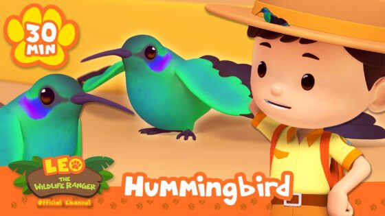 CAN YOU SPOT THIS BIRD WITH SUPER SPEED? | Leo the Wildlife Ranger | Learning Animal Cartoons - Kids TV Series, Kingdom Kids Zone - Leo the Wildlife Ranger - Official Channel