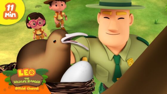 Rangers Guide the Kiwi Back Home to its Nest! Leo the Wildlife Ranger | Educational Animal Cartoons - Kids TV Series, Kingdom Kids Zone - Leo the Wildlife Ranger - Official Channel