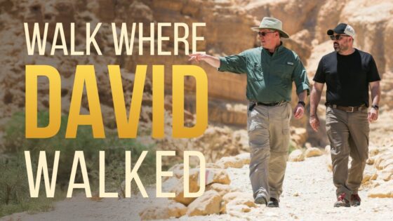 The Search for a King: Power, Failure, and God’s Plan - Documentaries, Movies & TV - Appian Media