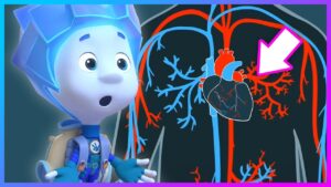 Nolik Learns About The Heart | The Fixies | Learning Cartoons For Kids - Kingdom Kids Zone, Little Learners - The Fixies