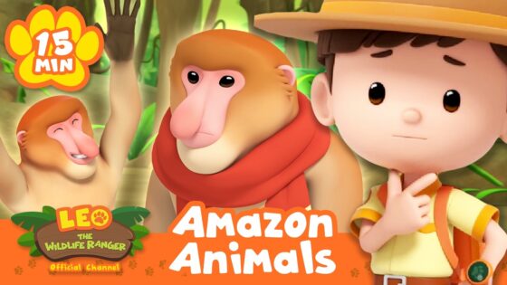 Animals from the AMAZON! Leo the Wildlife Ranger | Educational Animal Cartoons - Kids TV Series, Kingdom Kids Zone - Leo the Wildlife Ranger - Official Channel