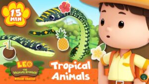 Animals Living in Tropical Climates! | Leo the Wildlife Ranger | Learning Animal Cartoons - Kids TV Series, Kingdom Kids Zone - Leo the Wildlife Ranger - Official Channel