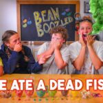 5 Kids React to Gross Jelly Beans | Bean Boozled Sibling Edition! - Family, Kingdom Kids Zone - The Moore The Merrier Vlogs