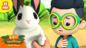 Find the Pet Rabbit in the Island! | Leo the Wildlife Ranger | Learning Animal Cartoons - Kids TV Series, Kingdom Kids Zone - Leo the Wildlife Ranger - Official Channel