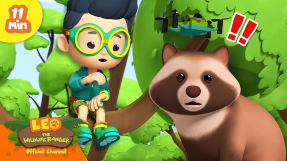 Is the Tanuki a Shapeshifting Spirit?! | Leo the Wildlife Ranger | Educational Animal Cartoons - Kids TV Series, Kingdom Kids Zone - Leo the Wildlife Ranger - Official Channel
