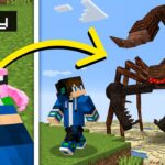 Can You Keep a SCORPION as a Pet? - Gameplay, Kingdom Kids Zone, Minecraft - EYstreem