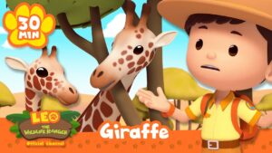 Leo Finds Giraffes Eating Leaves on Tall Trees! | Leo the Wildlife Ranger | Learning Animal Cartoons - Kids TV Series, Kingdom Kids Zone - Leo the Wildlife Ranger - Official Channel