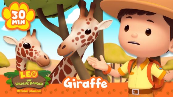 Leo Finds Giraffes Eating Leaves on Tall Trees! | Leo the Wildlife Ranger | Learning Animal Cartoons - Kids TV Series, Kingdom Kids Zone - Leo the Wildlife Ranger - Official Channel