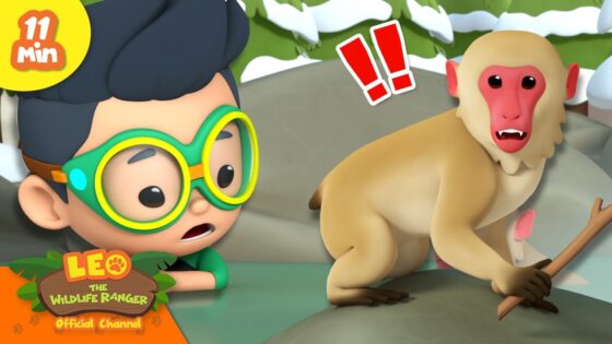 RANGER SPOTTED A WHITE MONKEY IN THE MOUNTAINS! | Leo the Wildlife Ranger | Learning Animal Cartoons - Kingdom Kids Zone, Shows - Leo the Wildlife Ranger - Official Channel