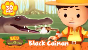 LEO SPOTS A CROCODILE IN THE AMAZON RIVER! | Leo the Wildlife Ranger | Learning Animal Cartoons - Kids TV Series, Kingdom Kids Zone - Leo the Wildlife Ranger - Official Channel