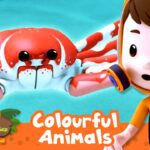 MOST COLOURFUL ANIMALS IN THE WORLD! 🌈 | Leo the Wildlife Ranger | Educational Animal Cartoons - Kids TV Series, Kingdom Kids Zone - Leo the Wildlife Ranger - Official Channel